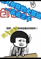 无人知晓的大冒险