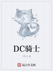 DC骑士